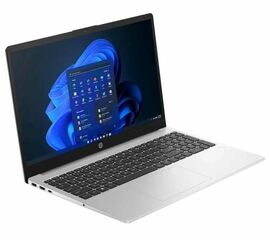 Ноутбук HP 255 G10 CW0W9AT, фото 